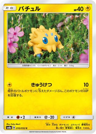 Joltik (010/052) - SM8a Dark Order SM8a: Dark Order Pokemon Japanese Single  Squirtle Squad Card Shop.