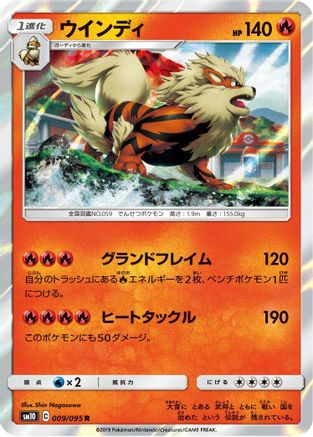 Arcanine (009/095) - SM10 Double Blaze Holofoil SM10: Double Blaze Pokemon Japanese Single  Squirtle Squad Card Shop.