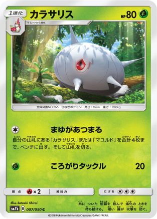 Silcoon (007/050) - SM7b Fairy Rise SM7b: Fairy Rise Pokemon Japanese Single  Squirtle Squad Card Shop.