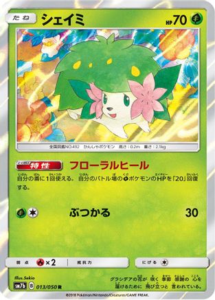 Shaymin (013/050) - SM7b Fairy Rise Holofoil SM7b: Fairy Rise Pokemon Japanese Single  Squirtle Squad Card Shop.