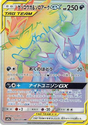 Greninja & Zoroark GX - 066/055 (066/055) - SM9a Night Unison Holofoil SM9a: Night Unison Pokemon Japanese Single  Squirtle Squad Card Shop.