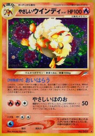 Light Arcanine  - Darkness and to Light Holofoil Darkness, and to Light... Pokemon Japanese Single  Squirtle Squad Card Shop.