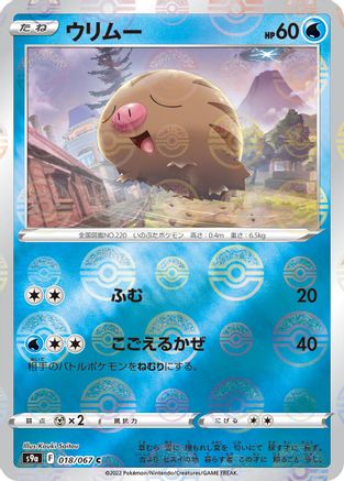 Swinub (Mirror Holofoil) (018/067) - S9a Battle Region Holofoil S9a: Battle Region Pokemon Japanese Single  Squirtle Squad Card Shop.