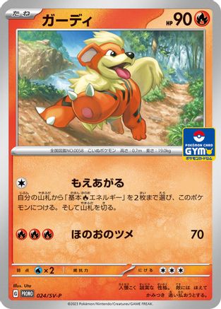 Growlithe - 024/SV-P (024/SV-P) - SVP Promotional Cards SV-P Promotional Cards Pokemon Japanese Single  Squirtle Squad Card Shop.