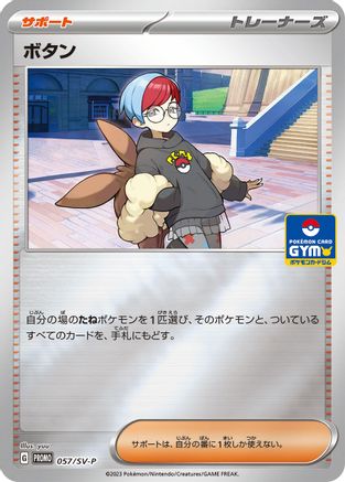 Penny - 057/SV-P (057/SV-P) - SVP Promotional Cards Holofoil SV-P Promotional Cards Pokemon Japanese Single  Squirtle Squad Card Shop.