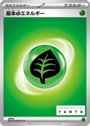 Basic Grass Energy - 079/SV-P (079/SV-P) - SVP Promotional Cards SV-P Promotional Cards Pokemon Japanese Single  Squirtle Squad Card Shop.