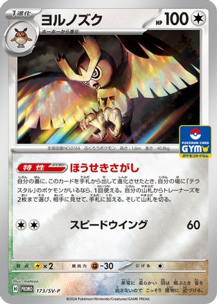 Noctowl - 173/SV-P (173/SV-P) - SVP Promotional Cards Holofoil SV-P Promotional Cards Pokemon Japanese Single  Squirtle Squad Card Shop.