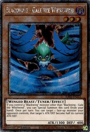 Blackwing - Gale the Whirlwind (Platinum Secret Rare) (RA03-EN215) - Quarter Century Bonanza 1st Edition Quarter Century Bonanza Yugioh Single  Squirtle Squad Card Shop.