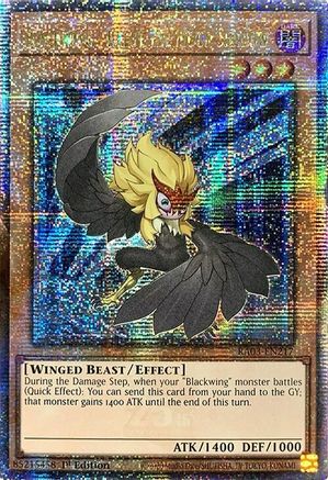 Blackwing - Kalut the Moon Shadow (Quarter Century Secret Rare) (RA03-EN217) - Quarter Century Bonanza 1st Edition Quarter Century Bonanza Yugioh Single  Squirtle Squad Card Shop.