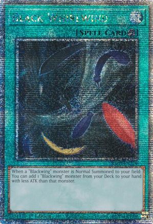 Black Whirlwind (Quarter Century Secret Rare) (RA03-EN219) - Quarter Century Bonanza 1st Edition Quarter Century Bonanza Yugioh Single  Squirtle Squad Card Shop.