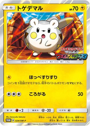 Togedemaru - 024/SM-P (024/SM-P) - SMP Sun  Moon Promos Holofoil SM-P: Sun & Moon Promos Pokemon Japanese Single  Squirtle Squad Card Shop.