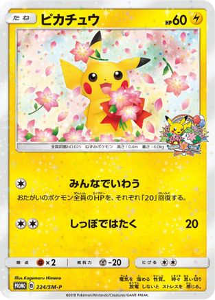 Pikachu - 224/SM-P (224/SM-P) - SMP Sun  Moon Promos SM-P: Sun & Moon Promos Pokemon Japanese Single  Squirtle Squad Card Shop.