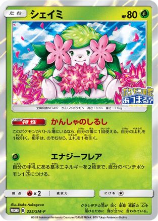 Shaymin - 225/SM-P (225/SM-P) - SMP Sun  Moon Promos Holofoil SM-P: Sun & Moon Promos Pokemon Japanese Single  Squirtle Squad Card Shop.
