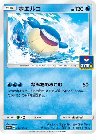 Wailmer - 230/SM-P (230/SM-P) - SMP Sun  Moon Promos SM-P: Sun & Moon Promos Pokemon Japanese Single  Squirtle Squad Card Shop.