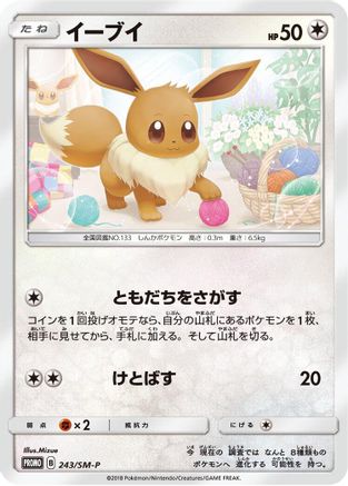 Eevee - 243/SM-P (243/SM-P) - SMP Sun  Moon Promos SM-P: Sun & Moon Promos Pokemon Japanese Single  Squirtle Squad Card Shop.