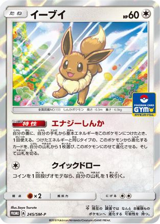 Eevee - 245/SM-P (245/SM-P) - SMP Sun  Moon Promos Holofoil SM-P: Sun & Moon Promos Pokemon Japanese Single  Squirtle Squad Card Shop.