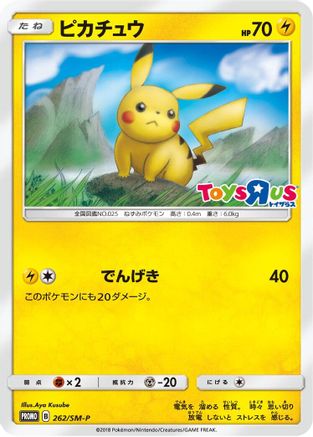 Pikachu - 262/SM-P (262/SM-P) - SMP Sun  Moon Promos SM-P: Sun & Moon Promos Pokemon Japanese Single  Squirtle Squad Card Shop.