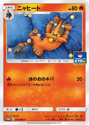 Torracat - 313/SM-P (313/SM-P) - SMP Sun  Moon Promos SM-P: Sun & Moon Promos Pokemon Japanese Single  Squirtle Squad Card Shop.