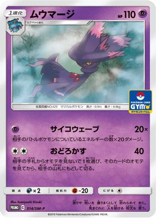Mismagius - 314/SM-P (314/SM-P) - SMP Sun  Moon Promos SM-P: Sun & Moon Promos Pokemon Japanese Single  Squirtle Squad Card Shop.