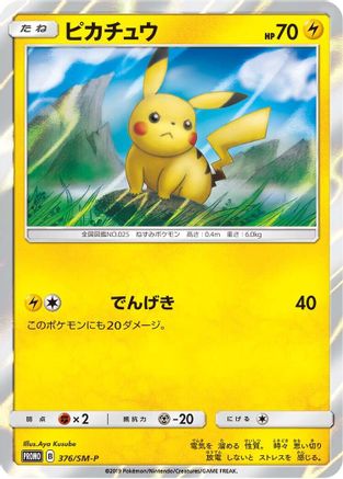 Pikachu - 376/SM-P (376/SM-P) - SMP Sun  Moon Promos Holofoil SM-P: Sun & Moon Promos Pokemon Japanese Single  Squirtle Squad Card Shop.
