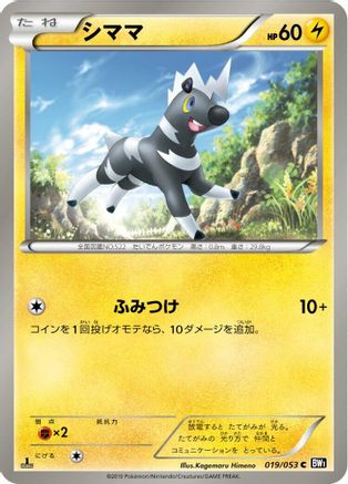 Blitzle (019/053) - BW1 Black Collection 1st Edition BW1: Black Collection Pokemon Japanese Single  Squirtle Squad Card Shop.