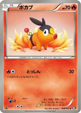 Tepig (008/053) - BW1 Black Collection 1st Edition BW1: Black Collection Pokemon Japanese Single  Squirtle Squad Card Shop.