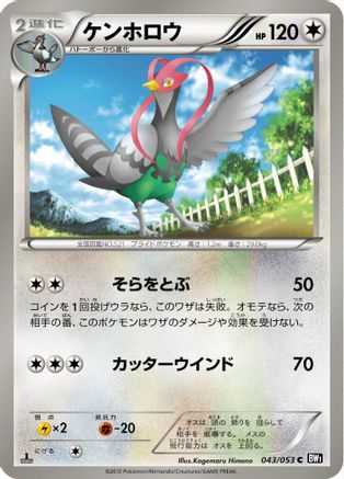 Unfezant (043/053) - BW1 Black Collection Unlimited BW1: Black Collection Pokemon Japanese Single  Squirtle Squad Card Shop.
