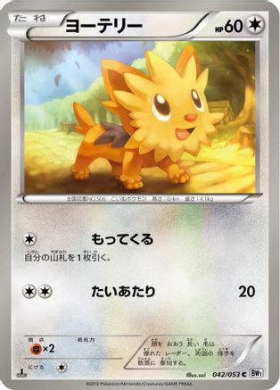 Lillipup (042/053) - BW1 White Collection 1st Edition BW1: White Collection Pokemon Japanese Single  Squirtle Squad Card Shop.