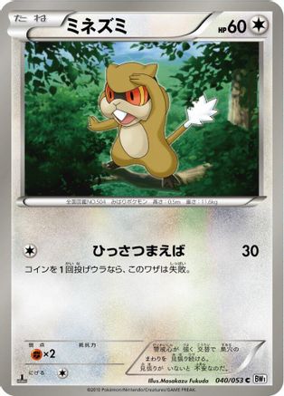 Patrat (040/053) - BW1 White Collection 1st Edition BW1: White Collection Pokemon Japanese Single  Squirtle Squad Card Shop.