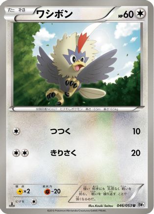 Rufflet (046/053) - BW1 White Collection Unlimited BW1: White Collection Pokemon Japanese Single  Squirtle Squad Card Shop.