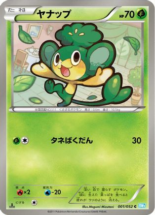 Pansage (001/052) - BW3 Hail Blizzard 1st Edition BW3: Hail Blizzard Pokemon Japanese Single  Squirtle Squad Card Shop.