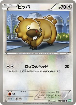 Bidoof (045/050) - BW5 Dragon Blast 1st Edition BW5: Dragon Blast Pokemon Japanese Single  Squirtle Squad Card Shop.