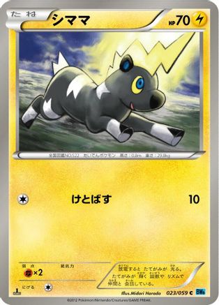 Blitzle (023/059) - BW6 Freeze Bolt 1st Edition BW6: Freeze Bolt Pokemon Japanese Single  Squirtle Squad Card Shop.