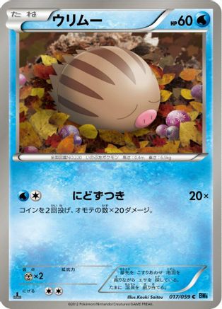 Swinub (017/059) - BW6 Freeze Bolt Unlimited BW6: Freeze Bolt Pokemon Japanese Single  Squirtle Squad Card Shop.