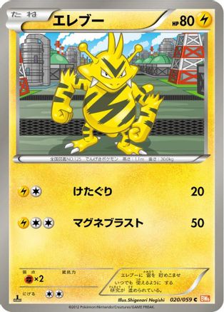Electabuzz (020/059) - BW6 Cold Flare 1st Edition BW6: Cold Flare Pokemon Japanese Single  Squirtle Squad Card Shop.