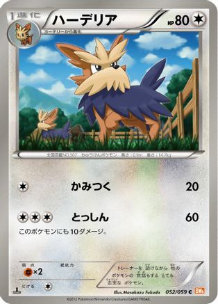 Herdier (052/059) - BW6 Cold Flare 1st Edition BW6: Cold Flare Pokemon Japanese Single  Squirtle Squad Card Shop.