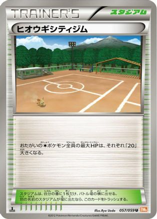 Aspertia City Gym (057/059) - BW6 Cold Flare 1st Edition BW6: Cold Flare Pokemon Japanese Single  Squirtle Squad Card Shop.
