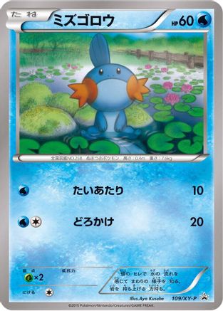 Mudkip - 109/XY-P (109/XY-P) - XYP XY Promos XY-P: XY Promos Pokemon Japanese Single  Squirtle Squad Card Shop.