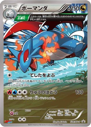 Salamence - 124/XY-P (124/XY-P) - XYP XY Promos Holofoil XY-P: XY Promos Pokemon Japanese Single  Squirtle Squad Card Shop.