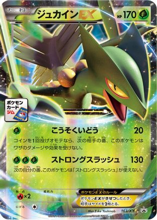 Sceptile EX - 163/XY-P (163/XY-P) - XYP XY Promos Holofoil XY-P: XY Promos Pokemon Japanese Single  Squirtle Squad Card Shop.