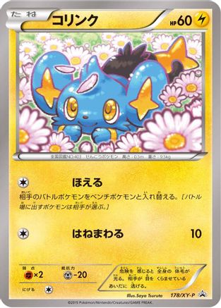 Shinx - 178/XY-P (178/XY-P) - XYP XY Promos XY-P: XY Promos Pokemon Japanese Single  Squirtle Squad Card Shop.