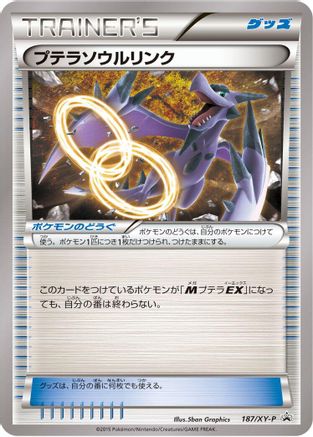 Aerodactyl Spirit Link - 187/XY-P (187/XY-P) - XYP XY Promos XY-P: XY Promos Pokemon Japanese Single  Squirtle Squad Card Shop.