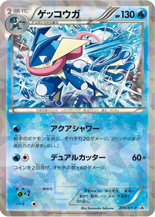 Greninja - 209/XY-P (209/XY-P) - XYP XY Promos Holofoil XY-P: XY Promos Pokemon Japanese Single  Squirtle Squad Card Shop.