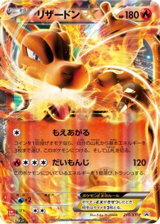 Charizard EX - 213/XY-P (213/XY-P) - XYP XY Promos Holofoil XY-P: XY Promos Pokemon Japanese Single  Squirtle Squad Card Shop.