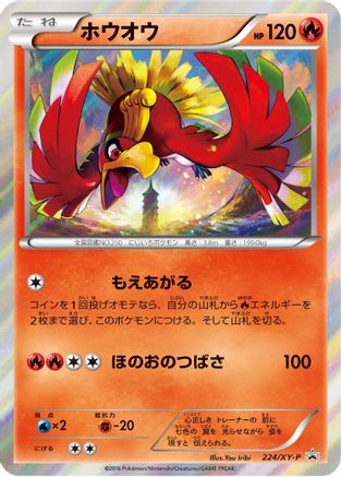 Ho-Oh - 224/XY-P (224/XY-P) - XYP XY Promos Holofoil XY-P: XY Promos Pokemon Japanese Single  Squirtle Squad Card Shop.