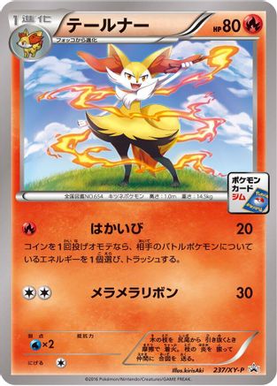 Braixen - 237/XY-P (237/XY-P) - XYP XY Promos XY-P: XY Promos Pokemon Japanese Single  Squirtle Squad Card Shop.