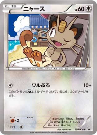 Meowth - 250/XY-P (250/XY-P) - XYP XY Promos XY-P: XY Promos Pokemon Japanese Single  Squirtle Squad Card Shop.