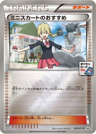Lass's Special - 289/XY-P (289/XY-P) - XYP XY Promos Holofoil XY-P: XY Promos Pokemon Japanese Single  Squirtle Squad Card Shop.