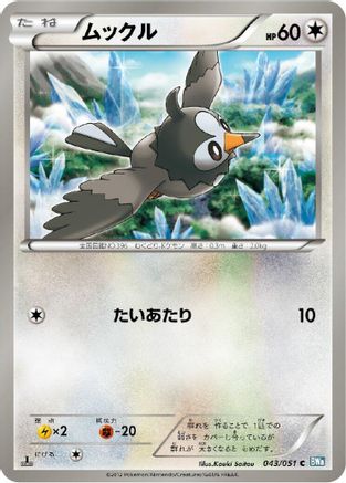 Starly (043/051) - BW8 Thunder Knuckle Unlimited BW8: Thunder Knuckle Pokemon Japanese Single  Squirtle Squad Card Shop.