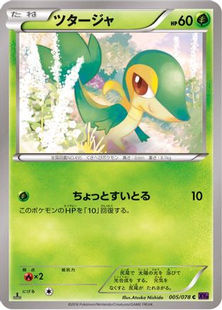 Snivy (005/078) - XY10 Awakening Psychic King 1st Edition XY10: Awakening Psychic King Pokemon Japanese Single  Squirtle Squad Card Shop.